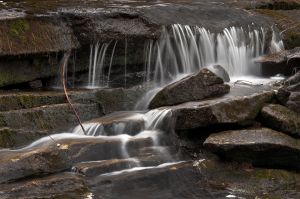 29  CW728I  Bicknell Brook along the Colette Trail.jpg